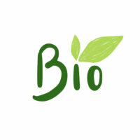 The word bio typography vector
